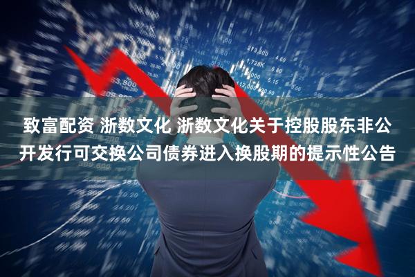致富配资 浙数文化 浙数文化关于控股股东非公开发行可交换公司债券进入换股期的提示性公告