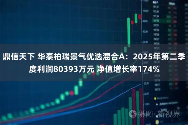 鼎信天下 华泰柏瑞景气优选混合A：2025年第二季度利润80393万元 净值增长率174%