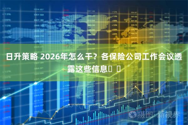 日升策略 2026年怎么干？各保险公司工作会议透露这些信息⋯⋯