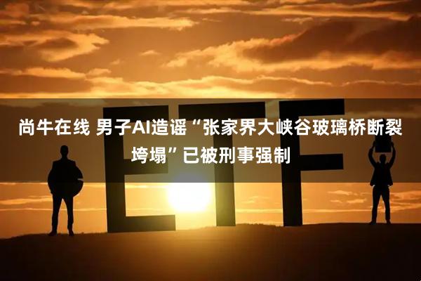 尚牛在线 男子AI造谣“张家界大峡谷玻璃桥断裂垮塌”已被刑事强制