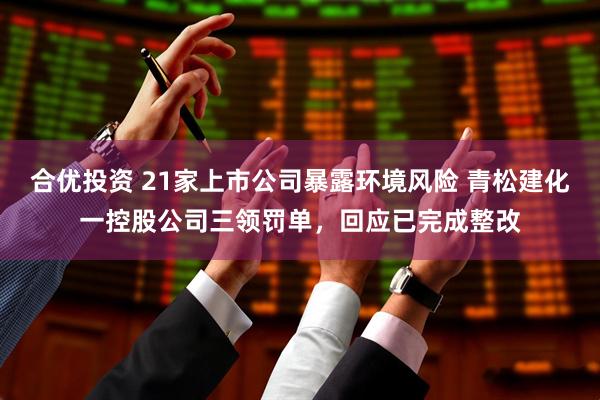 合优投资 21家上市公司暴露环境风险 青松建化一控股公司三领罚单，回应已完成整改