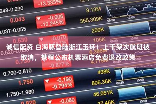 诚信配资 白海豚登陆浙江玉环！上千架次航班被取消，携程公布机票酒店免费退改政策